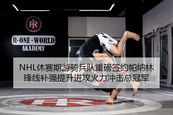 xiu-sai-qi-you-qi-bing-dui-zhong-bang-qian-yue-pa-na-lin-feng-xian-bu-qiang-ti-sheng-jin-gong-huo-li-chong-ji-zong-guan-2-814.jpg